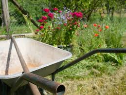 But for those folks who are just getting started, container gardening can feel a little bit overwhelming. Top 10 Basic Gardening Tools For Beginners Jim S Mowing Nz
