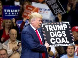Image result for TRUMP DIGS COAL