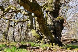 Profile for Michael Lautenbach Photographie