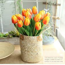 Follow and check our floraqueen voucher page daily for new promo codes, discounts, free shipping deals and more. Tulip Festival Promo Code