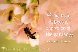 Quotes about bees and flowers enjoy reading and share 44 famous quotes about bees and flowers with everyone. The Hum Of Bees Monday S Flower Quote Floating Petals