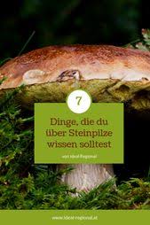Herrenpilz Oder Steinpilz Ideal Regional Lebensmittelwissen Steinpilze Pilze Herrenpilz