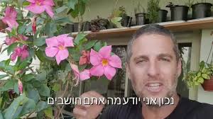 סתם אומרים על המנדוילה שהיא מפונקת.., פריחה מדהימה (ואצלי גם פורחת בצל מלא!)