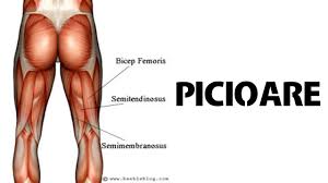 Check spelling or type a new query. Senzatia De Rece Arsura In Picioare Arsuri La Nivelul Picioarelor In ArticulaÈ›ie