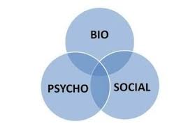 Search for biopsychosocial model definition. The Biopsychosocial Model