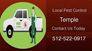 One hour pest control is a professional licensed pest control company in nyc that has been serving the new york city area for over 15 years. 24 Hour Pest Control Temple Tx Termite Inspection Removal Services Best Insect Control Near Me Insect Control Pest Control Termite Control