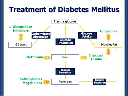 We did not find results for: Diabetus Mellitus Hypoglycemia Ppt Download