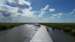 Marker wadden, waar de natuur vrij spel krijgt. Te Huur Vanaf Voorjaar 2020 Vakantiehuisje Op Marker Wadden Flevoland Destentor Nl