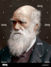 Charles darwin portrait hi-res stock photography and images