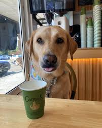 Check it out!! The...