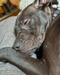 Mark Poolos (@markpoolos) • Instagram photos and videos