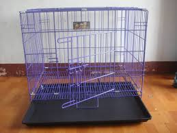 Cara membuat kucing nyaman di dalam kandang. Spesifikasi Kandang Kucing Yang Bagus
