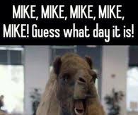 He was one of the workers for geico commercials and kept annoying brooklyn t. Hump Day Camel Pictures Photos Images And Pics For Facebook Tumblr Pinterest And Twitter