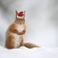 Christmas card making event image