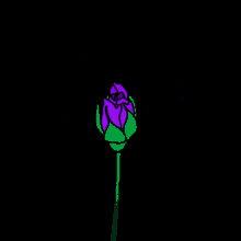 Share the best gifs now >>> Blooming Flower Animated Gif Gifs Tenor