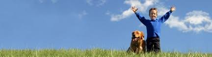 Hours may change under current circumstances Our Veterinary Hospital In Sugar Land Tx Sugar Creek Animal Clinic