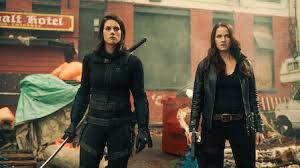 Missy peregrym is a canadian actress. Van Helsing Netflix Offizielle Webseite