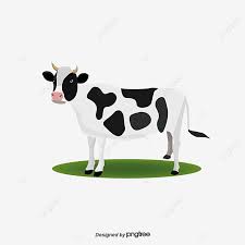 25 gambar kartun sapi di 2020 ilustrasi hewan gambar hewan. Vector Cows Cow Clipart Dairy Cow Cartoon Cow Png Transparent Clipart Image And Psd File For Free Download