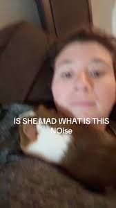 Joe Pasquale Guinea Pig Song