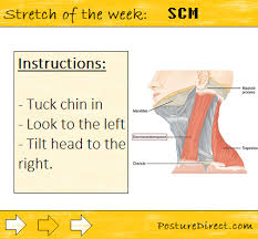 Pin On Posture Tips