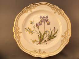 Maybe you would like to learn more about one of these? Spode Stafford Flowers Iris Sphaerolobium 11 Dinner Plate Replace Your Plates