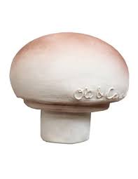 Manolo Le Champignon Jouet De Dentition Oli Carol Lapouleapois Fr Jouets De Dentition Dentition Jouet