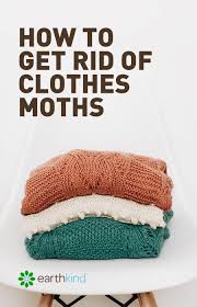 But seeing as i actually have to live in this house, with my two little girls, and i also don't want to destroy every item of clothing. How To Get Rid Of Clothes Moths From Closets Storage Areas