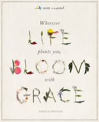 Chloe And Isabel Quote Of The Day Www Chloeandisabel Com Boutique Jewelrypalace Bloom Quotes Flower Quotes Chloe Isabel