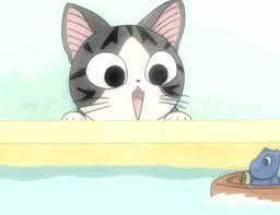 Kawaii Animu Cats Imgur Chi S Sweet Home Anime Cat Cat Gif