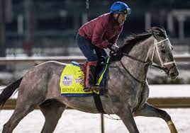 Legendary expert who nailed tiz the law reveals surprising picks. Auoa6oupezbvnm