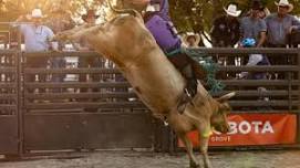 BullFest at the Lake 2026