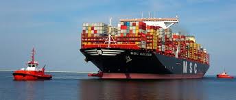 Msc Gulsun Le Plus Gros Porte Conteneurs Du Monde Tlr