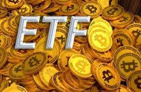 How much is 1 bitcoin in naira 2020 : Btc To Naira Naira To Btc Btc Price Calculator Blockchain News