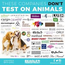 Beagle Freedom Project On Twitter Cruelty Free Brands Animal Activism Animals