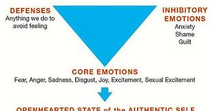 What Is The Change Triangle Hilary Jacobs Hendel Mind Over Matter Emotions Self Help