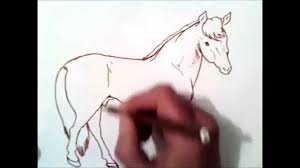 Migliaia di nuove immagini di alta qualità aggiunte ogni giorno. Come Disegnare Un Cavallo Come Disegnare Un Cavallo Passo Dopo Passo Youtube