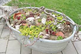 Eignet sich eine zinkwanne als gartenteich? Hauswurz In Zinkwanne Zinkwanne Bepflanzen Garten Garten Pflanzen