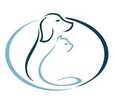 1935 s north carolina hwy 119, mebane, nc 27302, usa. Mebane Pet Clinic Home Facebook