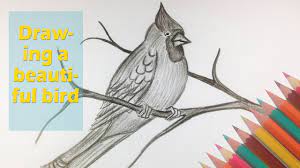 We did not find results for: How To Draw A Beautiful Bird Amazing Animal Drawing Videos Youtube