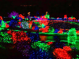 Tacoma Wa Pt Defiance Zoo Lights Celebration Zoo Lights Tacoma Pacific Northwest