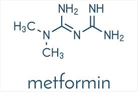 Image result for Metformin