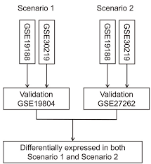 Oncotarget Comprehensive Analysis Of Lncrna Expression