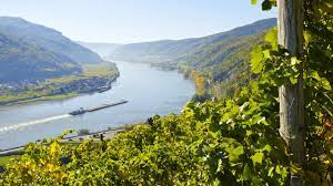 Wien österreich donau park vienna wien city town water austria water nature park. Osterreichische Donau Guterverkehr 2018 Um Ein Viertel Zuruckgegangen Dvz