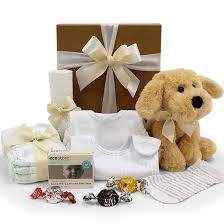 Whether it's a new puppy or you're looking to treat your own pampered pooch. Rock A Bye Baby Gift Basket