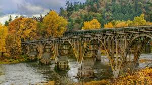 Peaceful Relaxing Instrumental Music Meditation Nature Music Forest Bridges By Tim Janis Youtube
