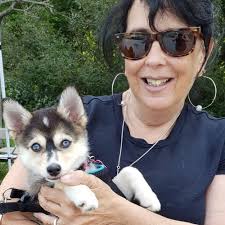 TOP 10 BEST Pet Cremation Services near Wickliffe, OH