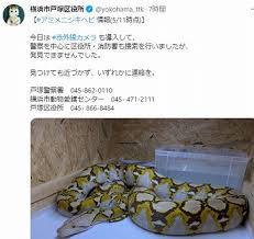 こんな危険な仕事やめたい。 ゲロ吐きそう」 「おう、わかった。 つまり俺達が強くなってお前の分まで戦えばいいんだな、いいハンデだ」 「安心してね、クライちゃん。 ちゃんと私達が守ってあげるから」 「あ、ストップ。 Gghhrwbprg48wm