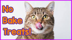 If you noticed that your cat might be gaining too much weight, it might be time to add healthy cat treats to your cat's diet. Delicious Easy No Bake Cat Treats How To Make Simple Homemade No Bake Tuna Cat Treas Youtube
