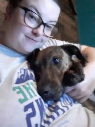 Lost Dog in Corpus Christi, Texas, Near Carroll Lane and Staples St