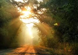Into The Light Think Theology